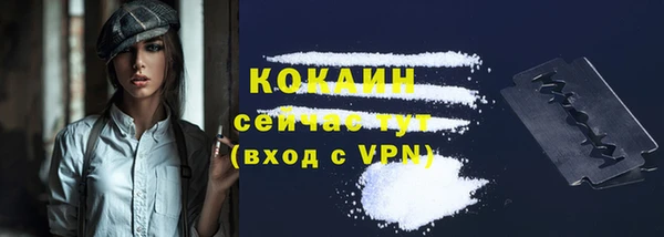 ECSTASY Богданович