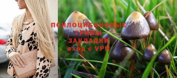 СК Богородицк