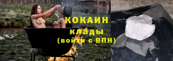 ECSTASY Богданович