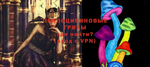 a pvp Протвино